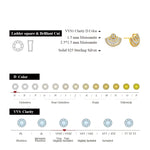 Luxury D VVS1 Color Moissanite Sector Earrings - Ornalux